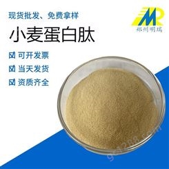 小麦肽 食品级小麦蛋白肽/郑州明瑞 现货供应，量大优惠