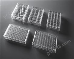 塑料细胞贴壁 细胞培养板 进阶级 金典高品质