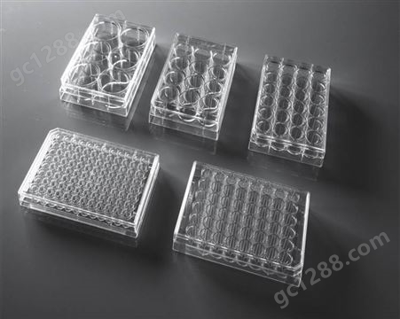 塑料细胞贴壁 细胞培养板 进阶级 金典高品质