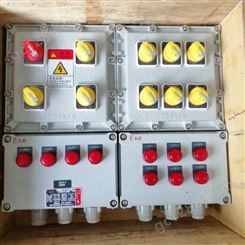多回路防爆照明动力配电箱BXMD51 防爆电源检修照明箱非标