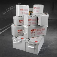 NPP电池 耐普蓄电池12v24ah NPG12-24免维护蓄电池 UPS电源电池