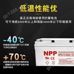 NPP电池太阳能电池专用NPG12-65 12V65AH耐普胶体蓄电池