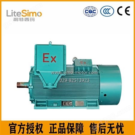 陕西西玛电机YB2-5602-6 800KW 10KV水泵 50HZ  B35三相异步电动机