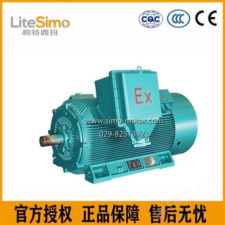 陕西西玛电机YB2-5602-6 800KW 10KV水泵 50HZ  B35三相异步电动机
