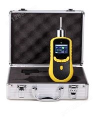 泵吸式氧气气体检测仪SKY2000