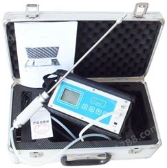 内置泵吸式二氧化硫气体检测仪DX-100