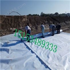 【土工膜】山东土工材料厂家 hdpe土工膜 防水养殖 复合土工膜