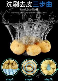 大型商用土豆脱皮机毛辊清洗机红薯马铃薯萝卜多功能土豆去皮机