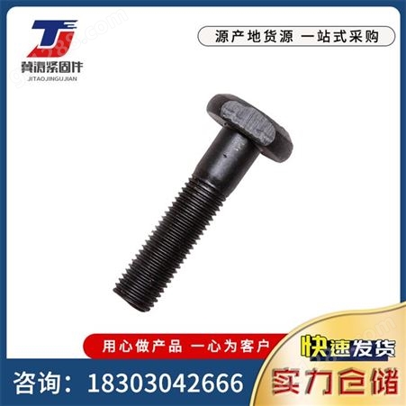 斗型螺丝 四方斗型丝异型栓定做 国标高强T型螺栓