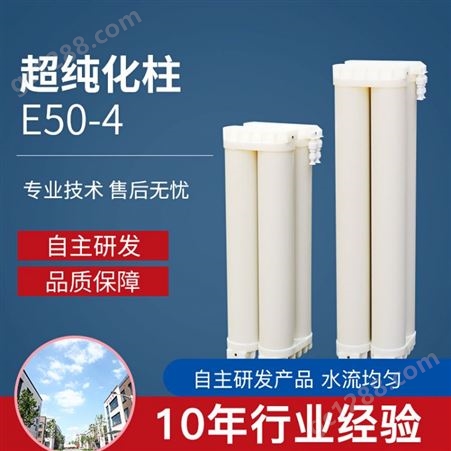 离子交换柱 超纯化柱 E50 E42 E60 EK60 E56实验室超纯水机用耗材