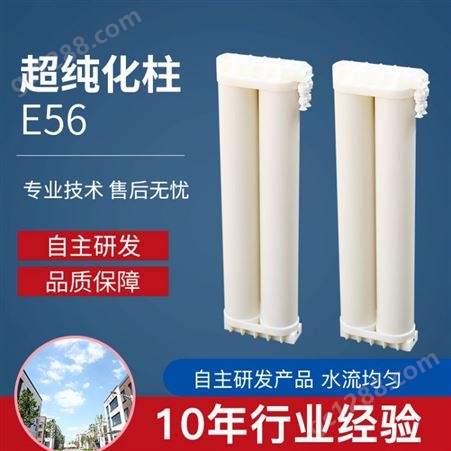 实验室超纯水机 纯化柱纯水柱 双通道双管纯化柱 尺寸可定制