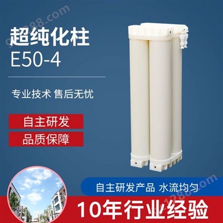 离子交换柱 E50-4 超纯化柱去离子水柱