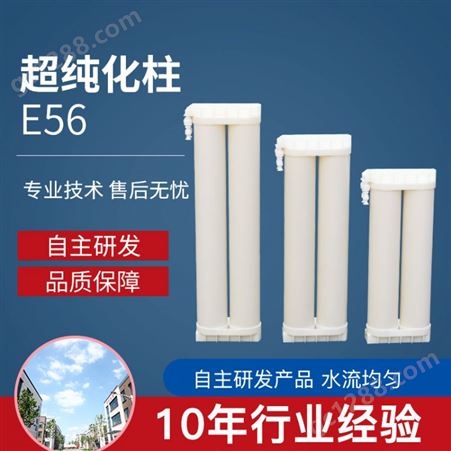 实验室超纯水机 纯化柱纯水柱 双通道双管纯化柱 尺寸可定制