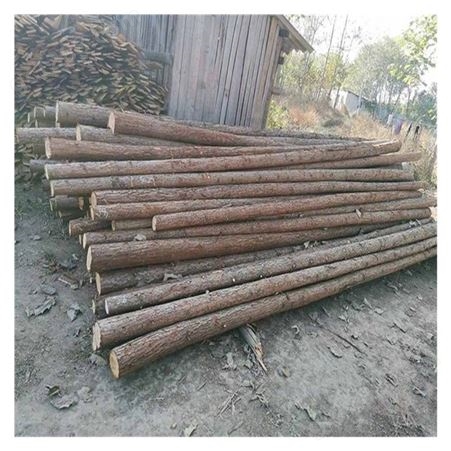 珠海木材批发市场 园林绿化材料 杉木杆 树木支撑杆出售