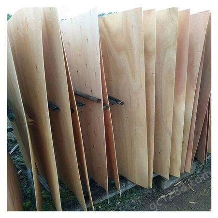 供应山东菏泽17mm优质桉木皮子 桉木单板 木材加工板皮出售