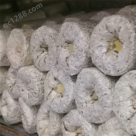 联盛 江苏鸡枞菌基地 食用菌 
