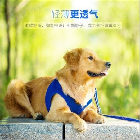西藏日喀则 宠物背心式胸背带 穿戴方便 时尚大方舒适  的舒适保护 宠物背心式胸背带出售