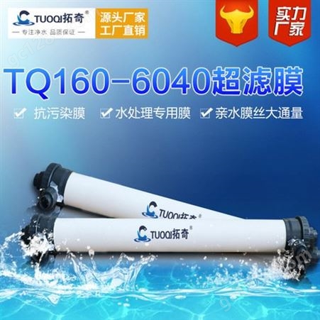 TQ-PVC-6040拓奇厂家直供中水回用高抗污染内压式中空纤维超滤膜组件PVC-6040