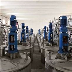 聚合釜搅拌机 赛鼎机械 2205搅拌机设计说明 造纸搅拌机公司