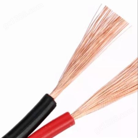  弘泰线缆有限公司 一枝秀 铜芯双绞线花线消防线弱电电线电缆红黑2*1.5