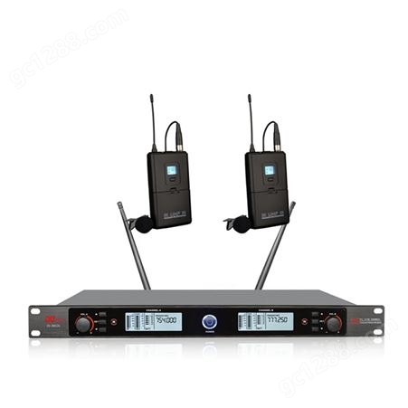 帝琪多媒体会议室系统集成扩音系统报价一拖二无线手持话筒DI-3802A