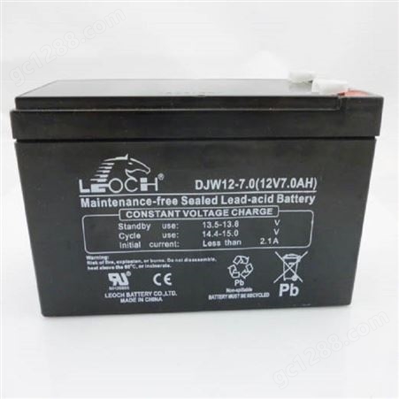 LEOCH理士DJM1240S 铅酸蓄电池12V40AH免维护机房直流屏