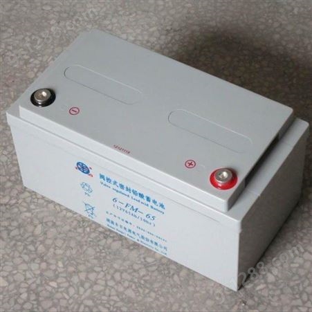 丰日蓄电池6-FM-65阀控式密封铅酸12V65AH 通讯直流屏 UPS电源蓄电池