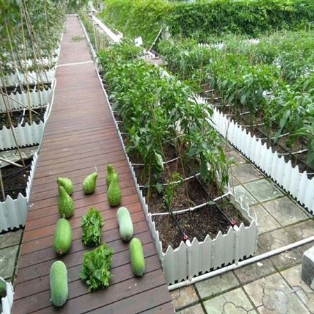 天津营养土厂家 育苗基质 园艺花卉栽培营养土 多肉种植营养土