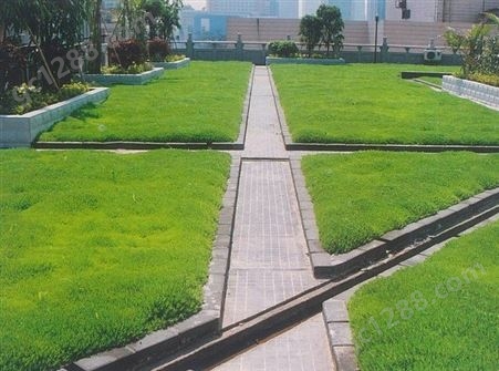 屋顶绿化施工立体绿化种植房顶花园设计施工就选映天青