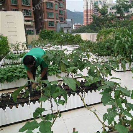 天津厂家有机花卉植物营养土屋顶种植庭院营养土提供罐装有大小包装