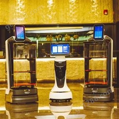 陕西迎宾机器人 智能领位 讲解接待 产品宣传 送餐揽客 招待送货机器人