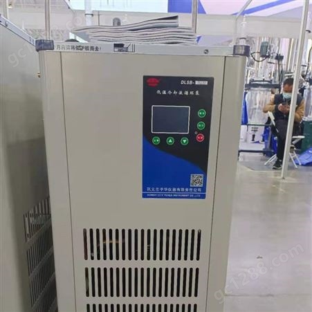 DLSB-20/20、30、40低温冷却液循环泵