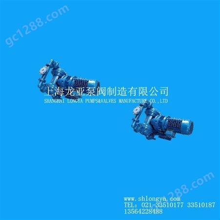 上海DBY-65型316L不锈钢电动隔膜泵+DBY-65四氟隔膜片
