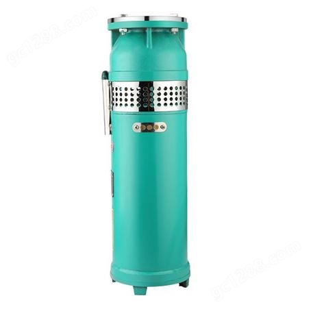 QSP100-7-3水浸式喷泉潜水泵 充水式喷泉潜水泵