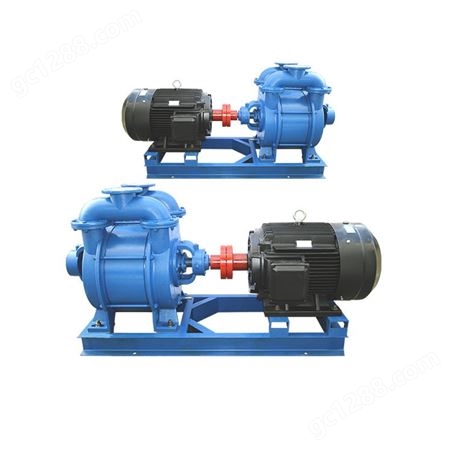 2SK系列双级循环水真空泵 卧式水环式真空泵 批发水环式真空泵