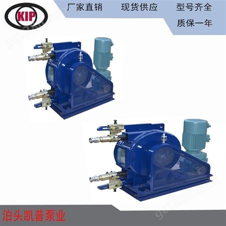 平行式软管泵 供应挤压泵 建筑用泵
