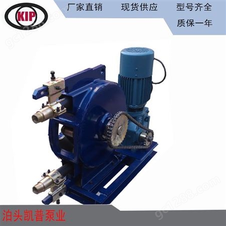 平行式软管泵 供应挤压泵 建筑用泵