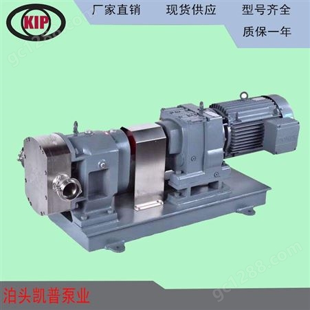 浙江凸轮泵304 双凸轮泵 含颗粒转子泵