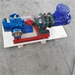 LC型罗茨泵 LC皮带罗茨泵 按需供应 高粘度罗茨泵 售后无忧