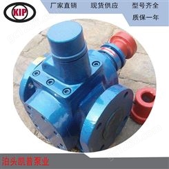 YCB不锈钢齿轮泵 圆弧泵 YCB10-0.6耐腐蚀化工泵门市批发价