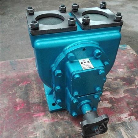 不锈钢圆弧泵 兴东高温油泵 多规格圆弧泵 质量为先 铸铁齿轮圆弧泵