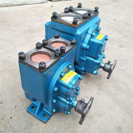 完善服务 服务贴心 车载圆弧泵 YCB圆弧齿轮泵 小流量圆弧泵