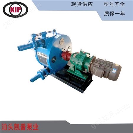 蠕动泵 工业软管泵 RGB50型软管挤压式蠕动泵 单双吸化工浆液软管输送泵