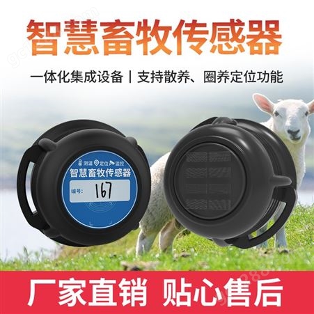 牛羊跟踪定位器 智能电子耳标 智慧畜牧 RFID识别测温定位