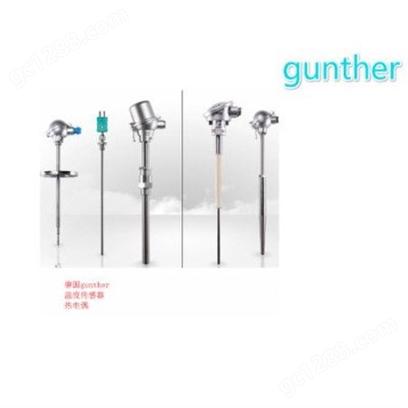 gunther热电偶 gunther温度传感器 gunther玻璃温度热电偶 gunther工业炉用热电偶