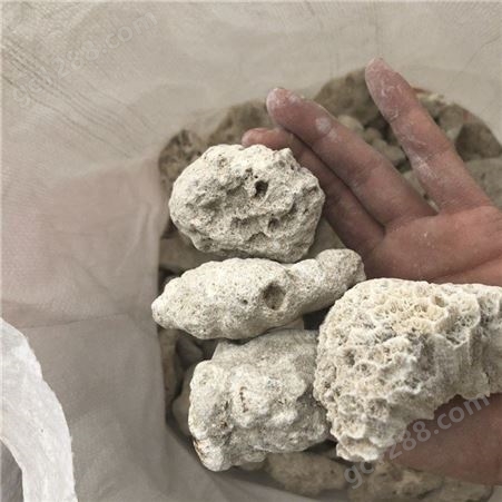 质量保证珊瑚骨 过滤材料珊瑚砂 供应珊瑚砂