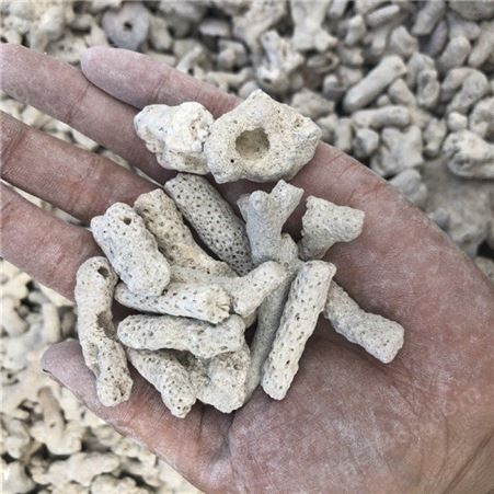 质量保证珊瑚骨 过滤材料珊瑚砂 供应珊瑚砂