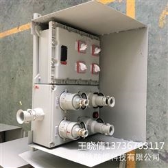 铸铝防爆插座箱 bxx52防爆动力检修箱