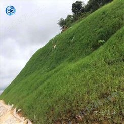 绿化植生挂网喷播山体护坡固土生态修复客土喷播