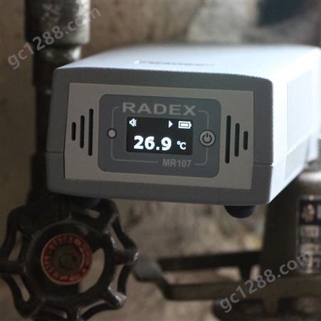 Radex MR107测氡仪-氡气检测仪室内空气质量氡气测量